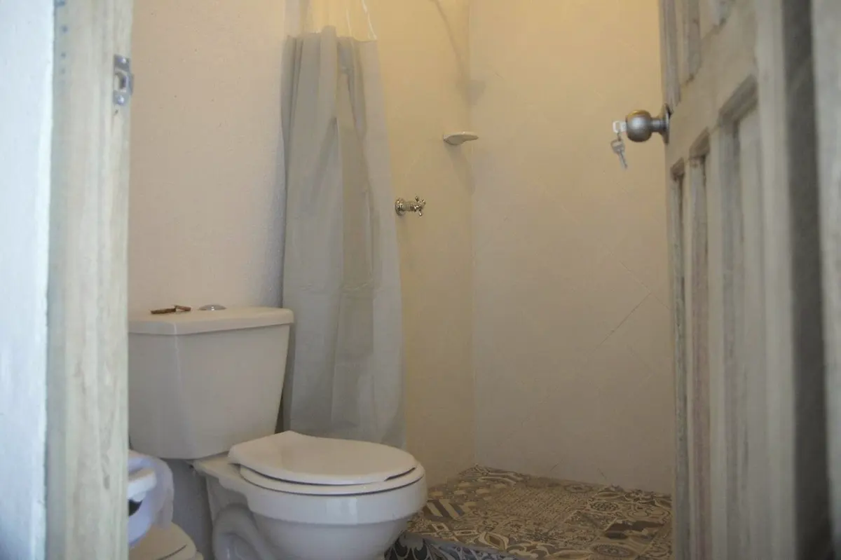 The private bathroom of the deluxe double: toilet and shower behind a white curtain, seen through a wooden door