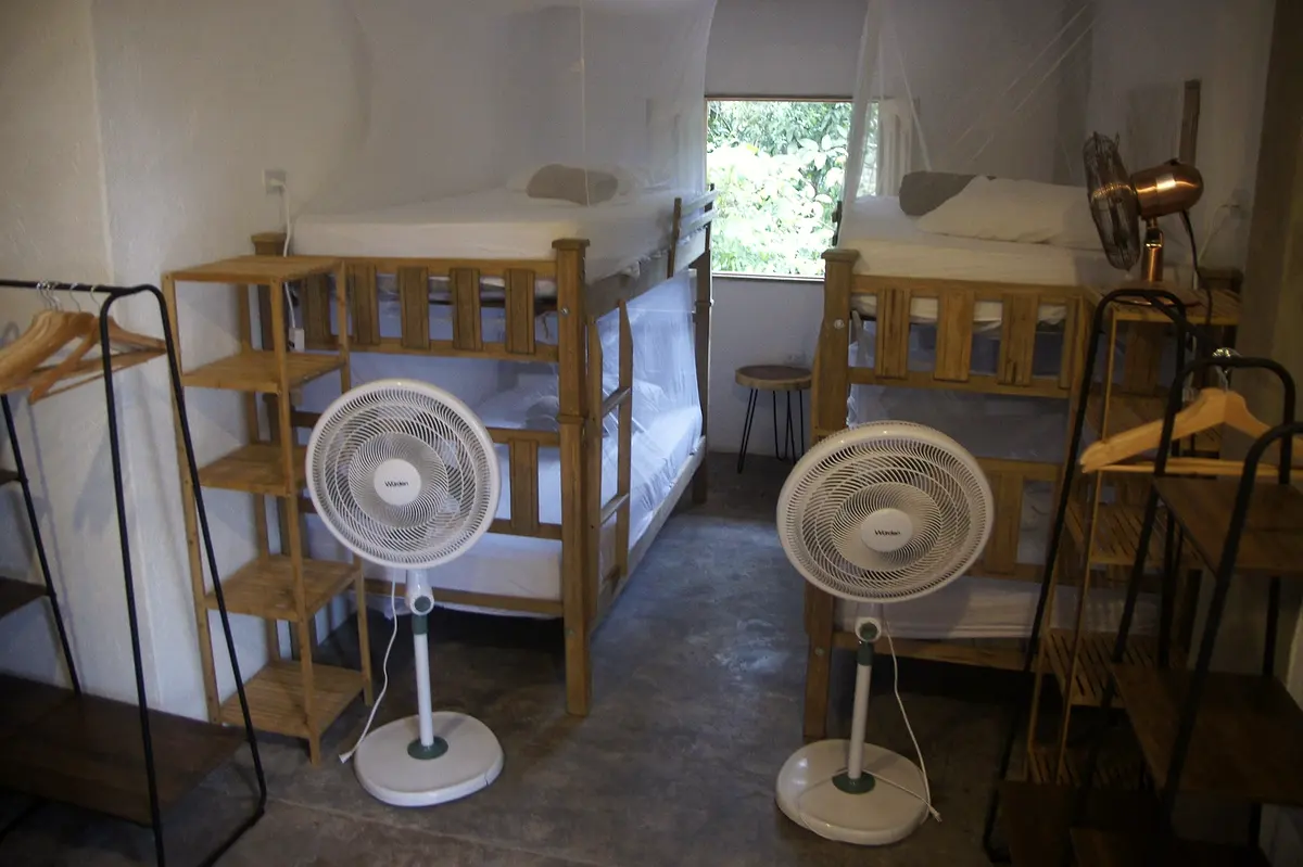 Mixed dormitory: wooden bunk beds with white mosquito nets, standing fans and black hanging rails, a window onto green trees