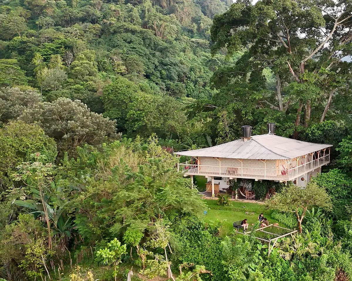 Aerial view of a hostel building with a long veranda and hammocks, surrounded by dense jungle