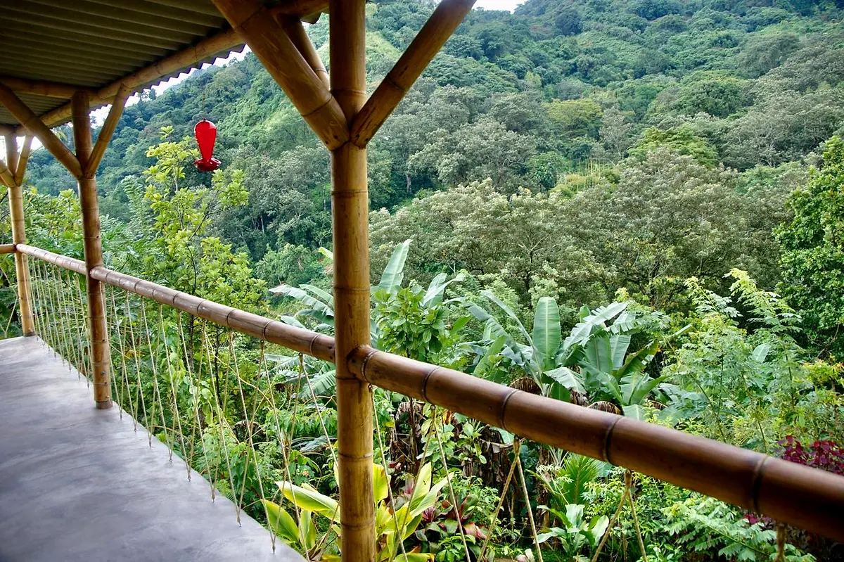 Bamboo-railed balcony with a red hummingbird feeder, overlooking dense jungle and a green hillside