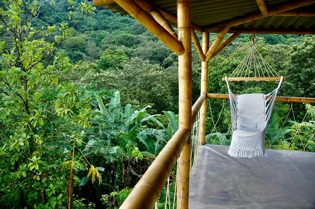 A hammock hanging from a wooden pergola at the edge of the forest