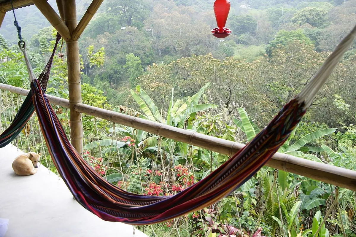 A woven hammock on a bamboo-railed veranda with a red hummingbird feeder and flowering jungle below