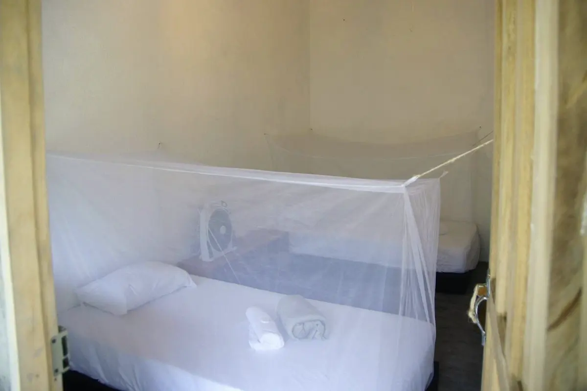 Standard twin room: a single bed under a box mosquito net with a rolled towel on the pillow